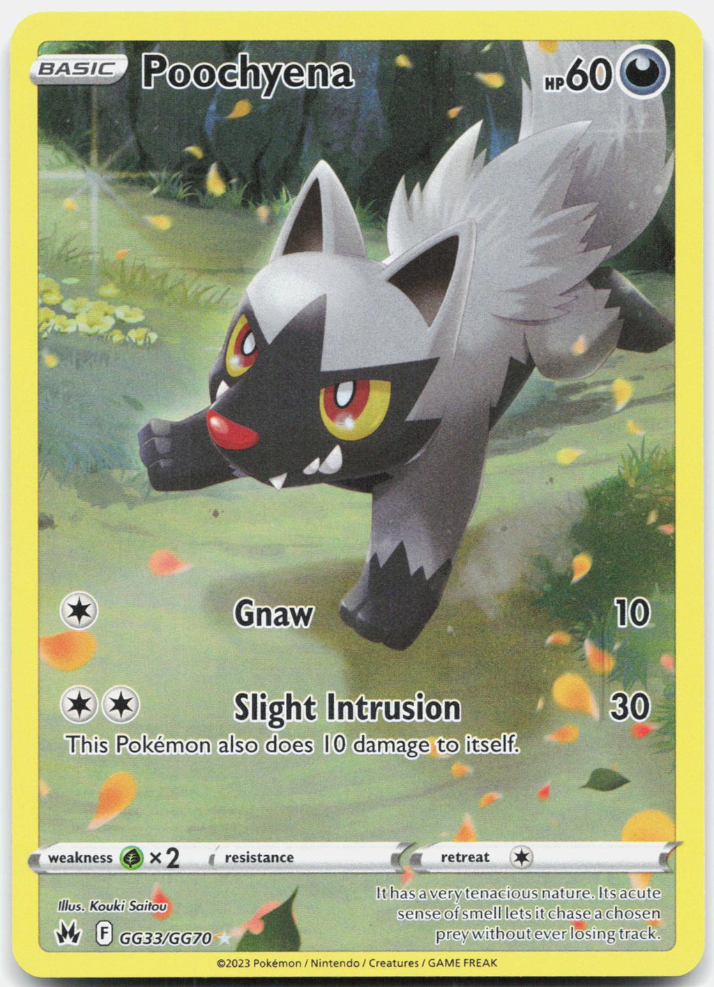 Poochyena GG33/GG70 Holo Crown Zenith Galarian Gallery Pokemon NM