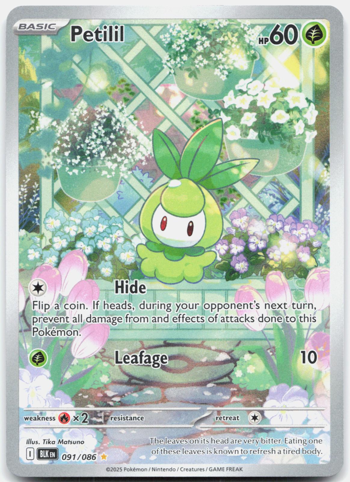 Petilil 091/086 Holo Illustration Rare Black Bolt Pokemon Near Mint