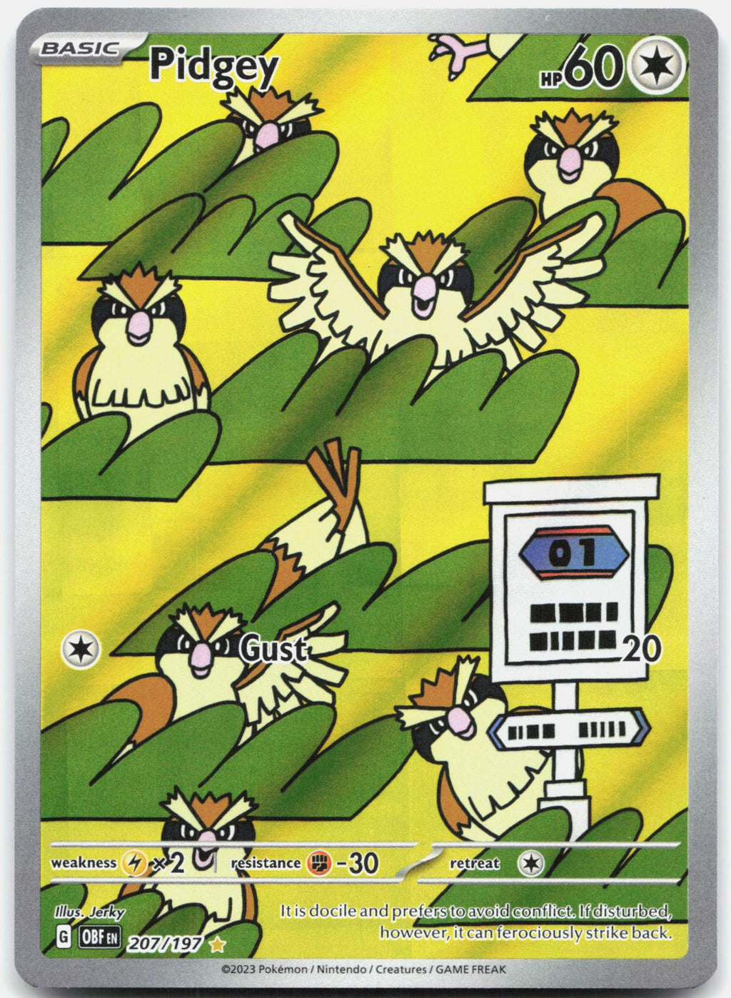 Pidgey 207/197 Illustration Rare Obsidian Flames Pokemon Holo Near Mint